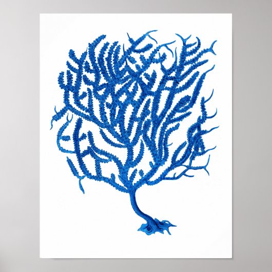 Blue Sea Coral Print #10 Wohngestaltung Art Poster (Vorne)