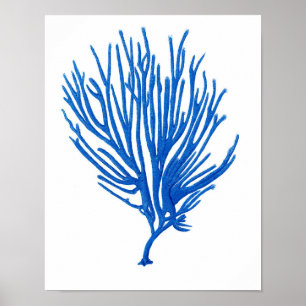 Blue Sea Coral Print #12 Coastal Wall Art Print Poster