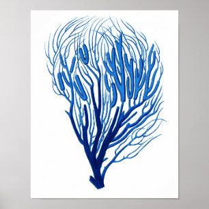 Blue Sea Coral Print # 7 Beach Wall Deco Poster