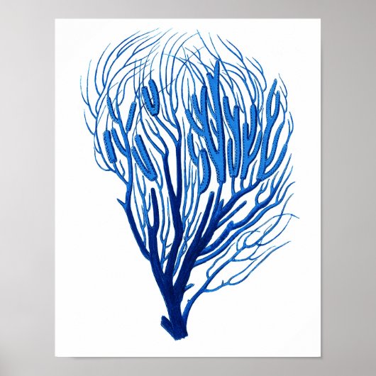 Blue Sea Coral Print # 7 Beach Wall Deco Poster (Vorne)