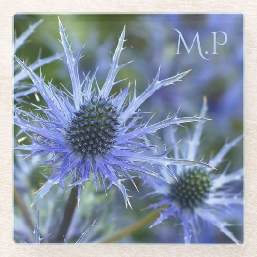 Blue Sea Holly Thistle Monogram Glasuntersetzer (Vorderseite)