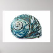 Blue Sea Shell Poster (Vorne)