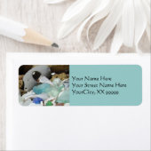 Blue Seaglass Address Labels Beach Coastal Fossili (Insitu)