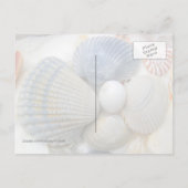 Blue Seashell Fotografie Postkarten (Rückseite)