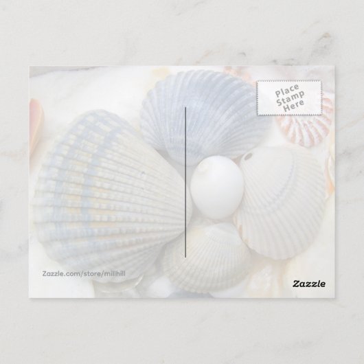 Blue Seashell Fotografie Postkarten (Rückseite)