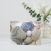 Blue Seashell Fotografie Postkarten (Stehend Vorderseite)