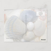 Blue Seashell Fotografie Postkarten (Rückseite)