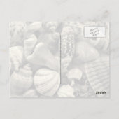 Blue Seashell Fotografie Postkarten (Rückseite)