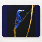 Blue Seepferd CB Mousepad (Vorne)
