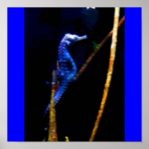 Blue Seepferd CB Poster