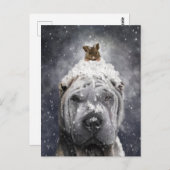 Blue Shar Pei im Schnee mit einer kleinen Maus Postkarte (Vorne/Hinten)