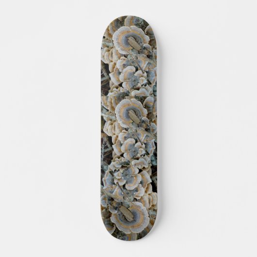 Blue Shelf Fungus Skateboard (Vorne)