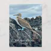 Blue Shoes Bird Postkarte (Vorderseite)