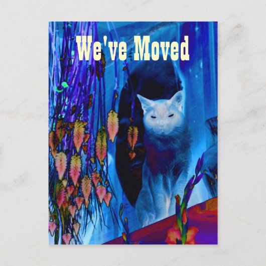 Blue Siamese Cat Moving New Address Postcard Ankündigungspostkarte (Vorderseite)