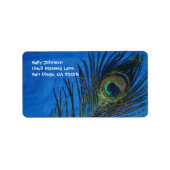 Blue Single Peacock Feather Adressaufkleber (Vorne)