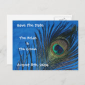 Blue Single Peacock Feather Save the Date Postkart Ankündigungspostkarte (Vorne/Hinten)