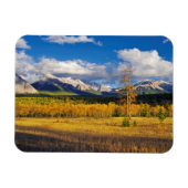 Blue Skies and Clouds above a meadow Magnet (Horizontal)