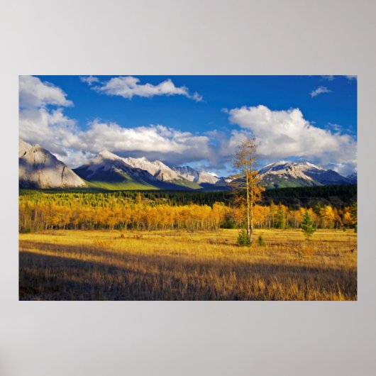 Blue Skies and Clouds above a meadow Poster (Vorne)