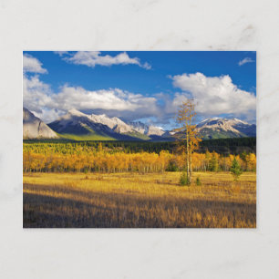 Blue Skies and Clouds above a meadow Postkarte