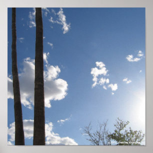 BLUE SKIES AND PALM BAUM POSTER