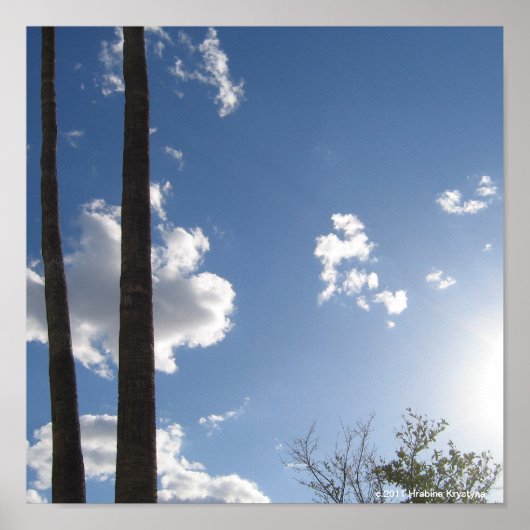BLUE SKIES AND PALM BAUM POSTER (Vorne)