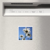 Blue Skies Bloomin Daisies Magnet (In Situ (Geschirrspüler))
