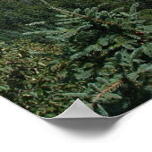 Blue Skies Poster (Ecke)