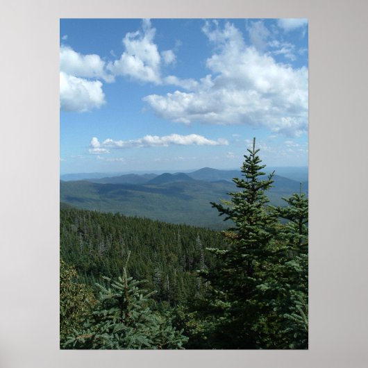 Blue Skies Poster (Vorne)