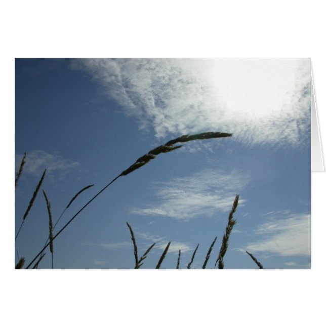 Blue Sky (Vorderseite (Horizontal))