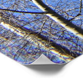 Blue Sky , Bäume im Winter Poster (Ecke)