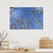 Blue Sky , Bäume im Winter Poster (Küche)