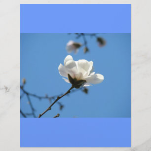 Blue Sky Custom Flyer Paper Spring Magnolia Blume