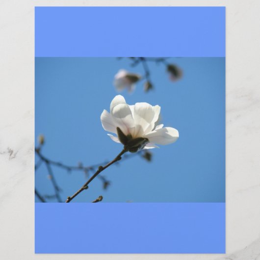 Blue Sky Custom Flyer Paper Spring Magnolia Blume (Vorne)