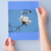 Blue Sky Custom Flyer Paper Spring Magnolia Blume (Hand)