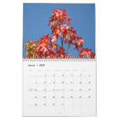 Blue Sky Fall Trees Calendar Bunte Blätter Kalender (Mär 2027)