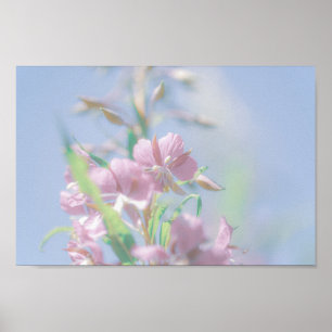 Blue Sky Green Pflanze Blätter Purple Flowers Poster