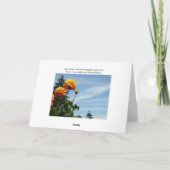 Blue Sky Grußkarten Summer Rose Garden Karte (Rückseite)