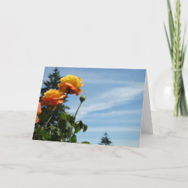 Blue Sky Grußkarten Summer Rose Garden Karte