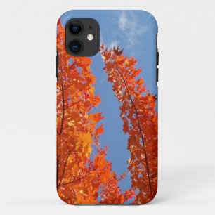 Blue Sky Handy deckt Orange-Herbstlaube ab Case-Mate iPhone Hülle