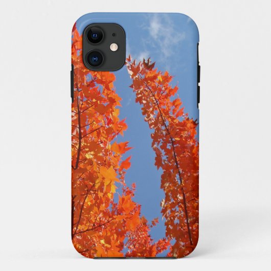 Blue Sky Handy deckt Orange-Herbstlaube ab Case-Mate iPhone Hülle (Rückseite)