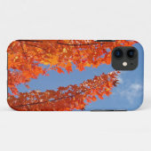 Blue Sky Handy deckt Orange-Herbstlaube ab Case-Mate iPhone Hülle (Rückseite (Horizontal))