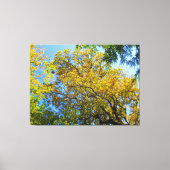 Blue Sky & Herbst - Leinwanddruck (Vorderseite)