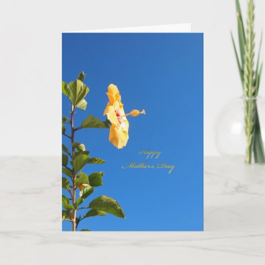 Blue Sky Hibiskus Muttertag Karte (Vorderseite)