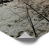 Blue Sky Lake Poster (Ecke)