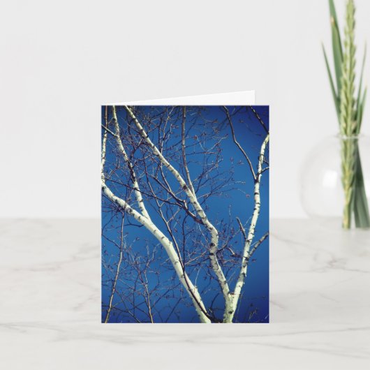 Blue Sky Nature Note Card White Birch Tree Karte (Vorderseite)