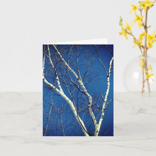 Blue Sky Nature Note Card White Birch Tree Karte (Gelbe Blume)
