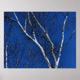 Blue Sky Nature Orton Effect Poster