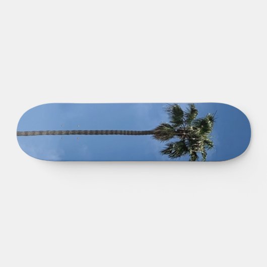 Blue Sky Palm Tree Skateboard (Horizontal)