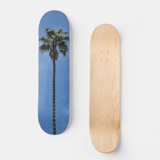 Blue Sky Palm Tree Skateboard (Vorderseite)
