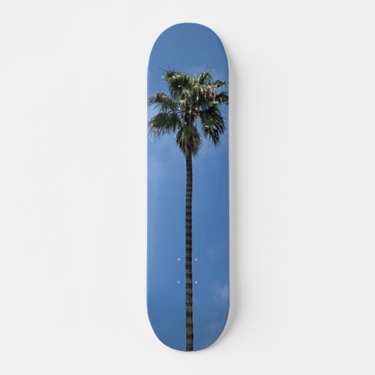 Blue Sky Palm Tree Skateboard (Vorne)